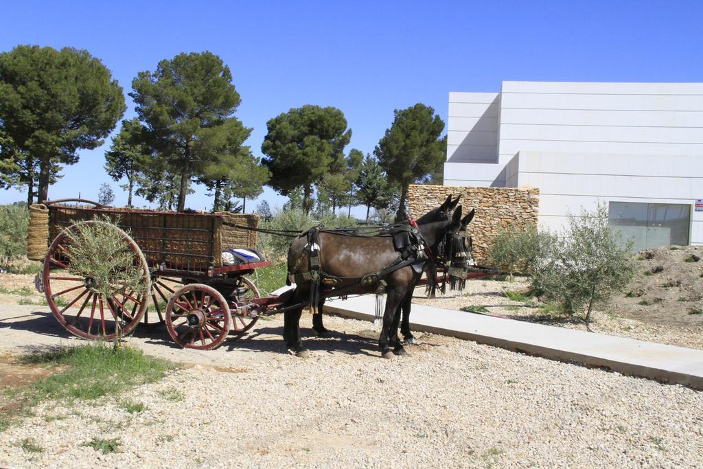 Luz De Alba Villa Argamasilla de Alba Екстериор снимка